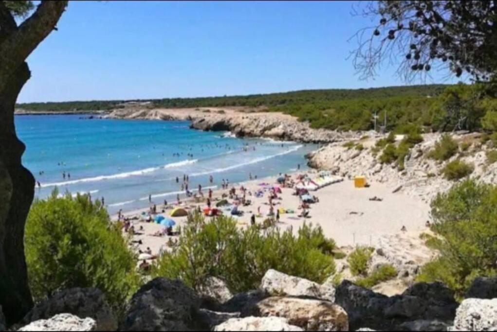 Studio Mer Et Vacances Sausset-les-Pins Exteriör bild